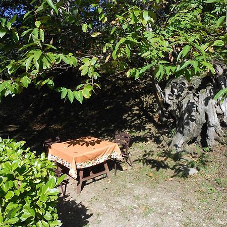 Fattoria Il Praticino Villa Castelfranco di Sopra Exterior foto