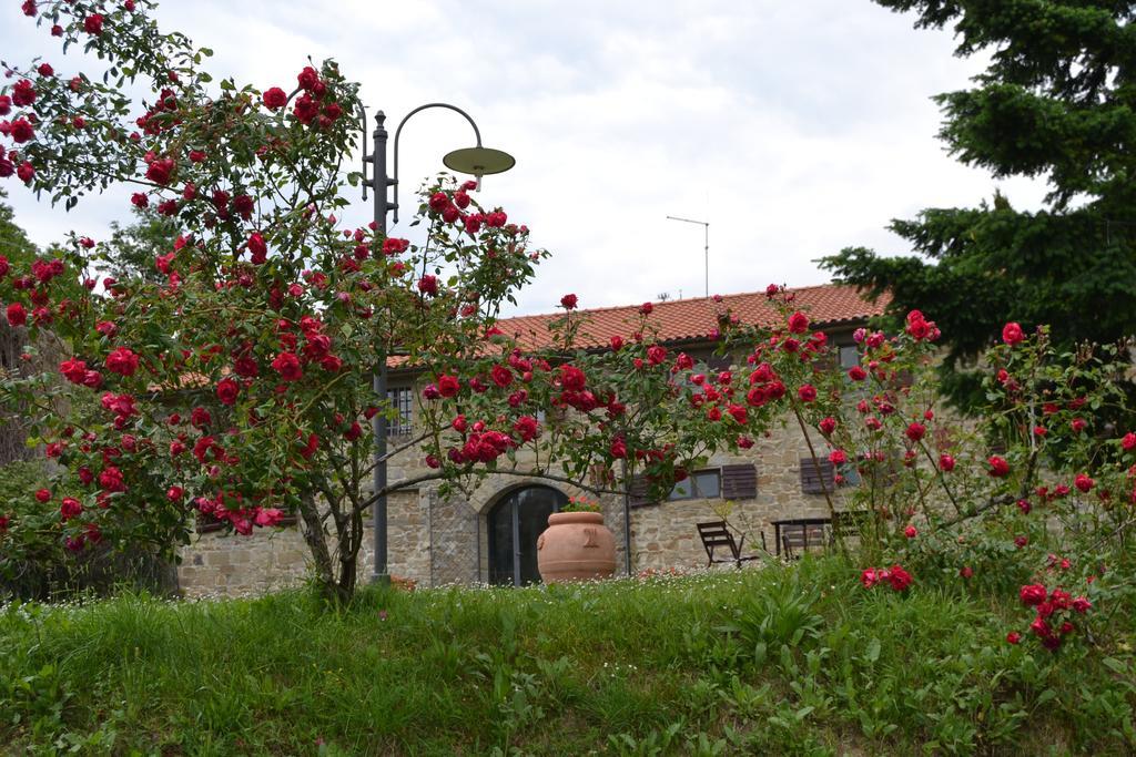 Fattoria Il Praticino Villa Castelfranco di Sopra Exterior foto