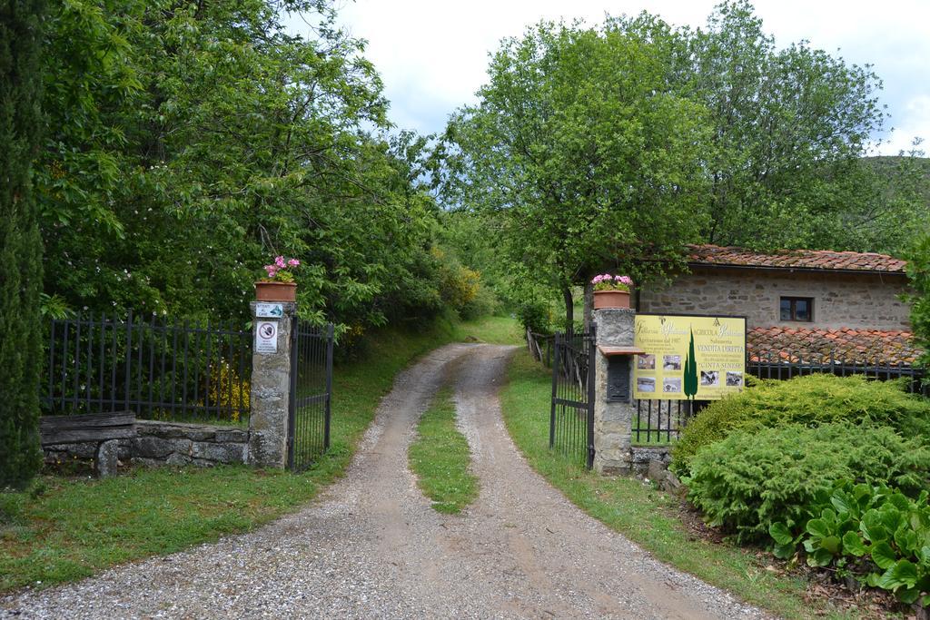 Fattoria Il Praticino Villa Castelfranco di Sopra Exterior foto