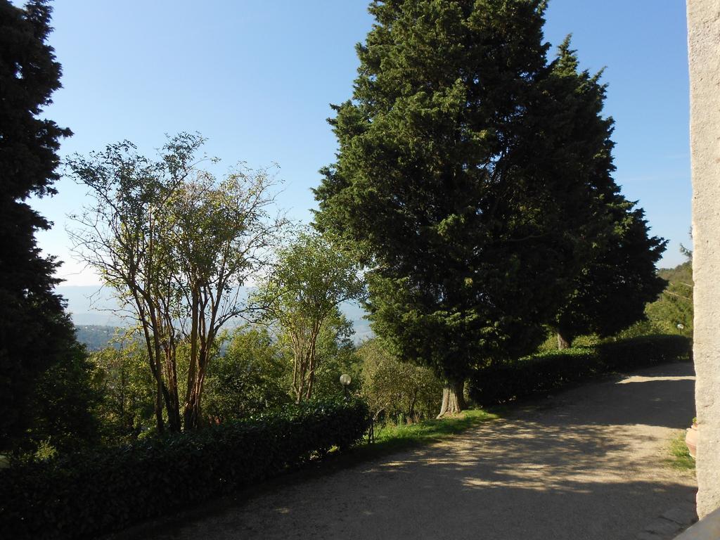 Fattoria Il Praticino Villa Castelfranco di Sopra Exterior foto